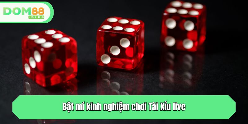 Bật mí kinh nghiệm chơi Tài Xỉu live