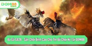da ga ga28 san choi dinh cao cho tin do choi ke tai dom88