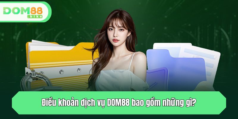 Điều khoản dịch vụ DOM88 bao gồm những gì?