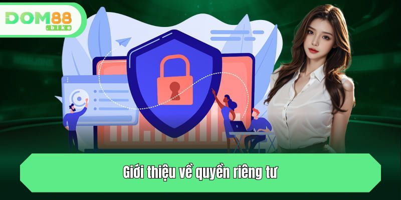 Giới thiệu về quyền riêng tư