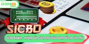 sicbo bigwin huong dan cach choi sieu danh de cho tan thu